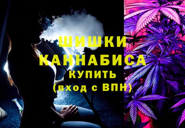 ГАЛЛЮЦИНОГЕННЫЕ ГРИБЫ Алзамай