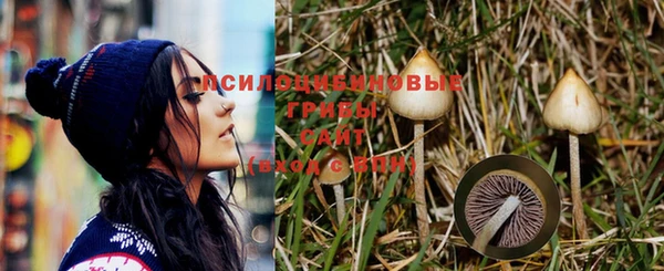 бошки Алексин