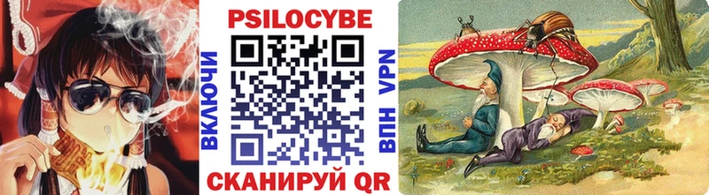 Псилоцибиновые грибы Psilocybine cubensis  Трёхгорный 